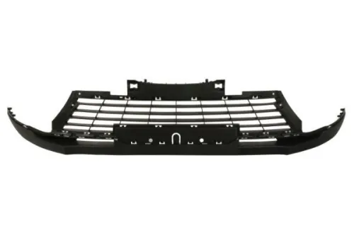 Radiator Grille
