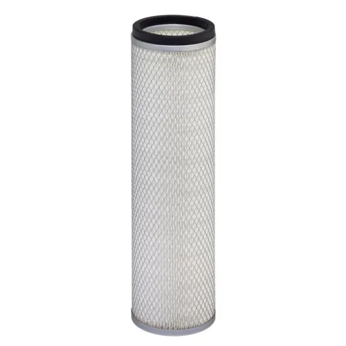 Secondary Air Filter