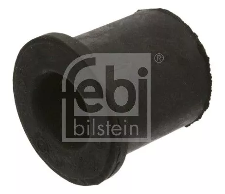 Bushing, leaf spring