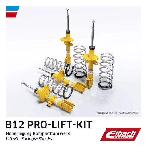 Suspension Kit, springs/shock absorbers