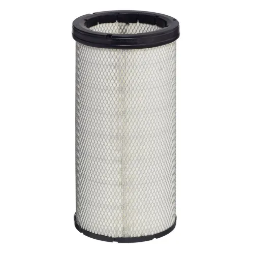 Secondary Air Filter