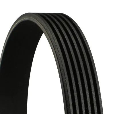 V-ribbed Belt