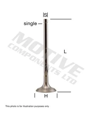 Exhaust Valve