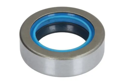 Shaft Seal, differential