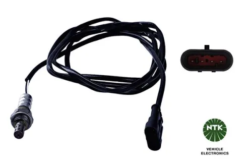 Oxygen Sensor