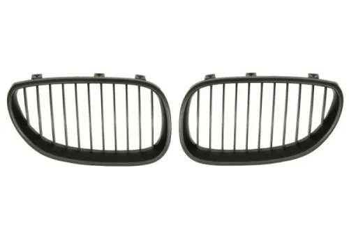 Radiator Grille