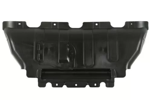 Engine Guard/Skid Plate