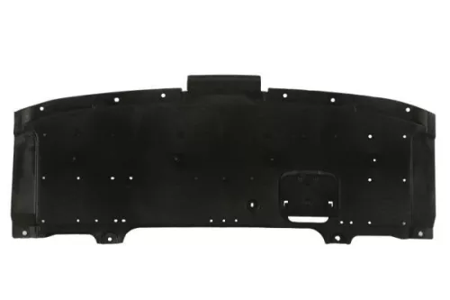 Engine Guard/Skid Plate