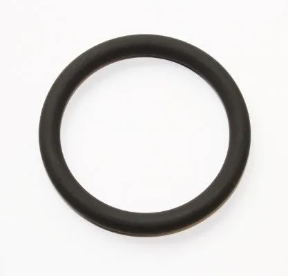 Seal Ring