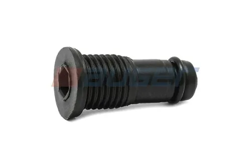 Sealing Plug, coolant flange