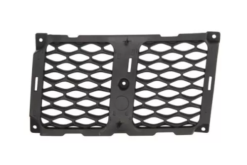 Radiator Grille