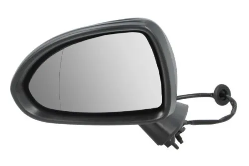Exterior Mirror