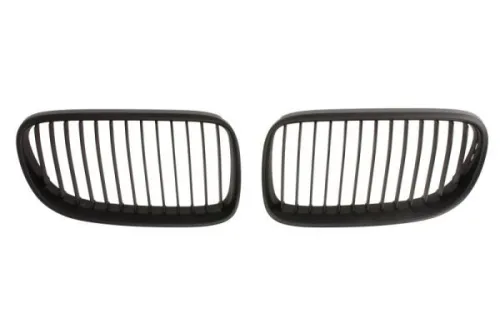 Radiator Grille