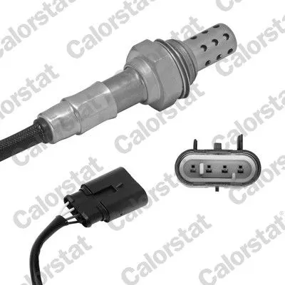 Oxygen Sensor