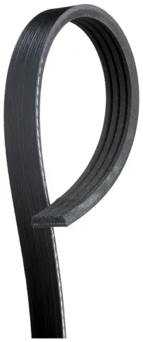 V-ribbed Belt