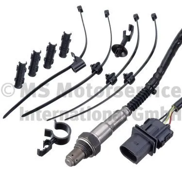 Oxygen Sensor