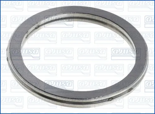 Seal Ring, exhaust pipe