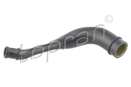 Hose, cylinder head cover ventilation