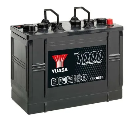 Starter Battery