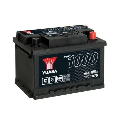 Starter Battery