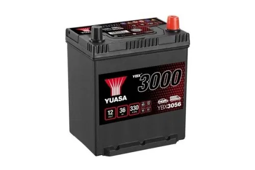 Starter Battery
