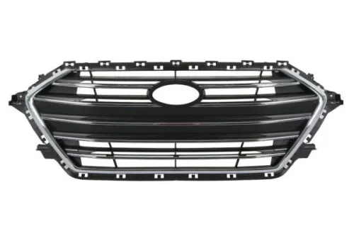 Radiator Grille