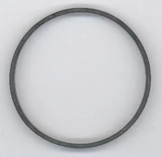Seal Ring