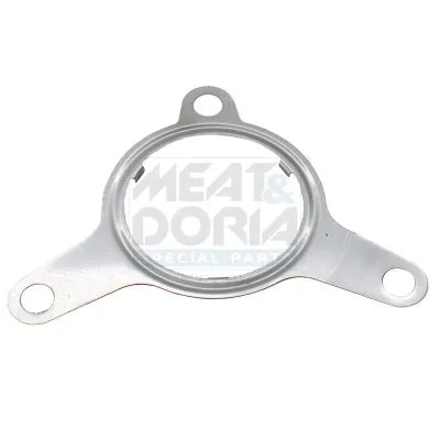 Gasket, EGR valve