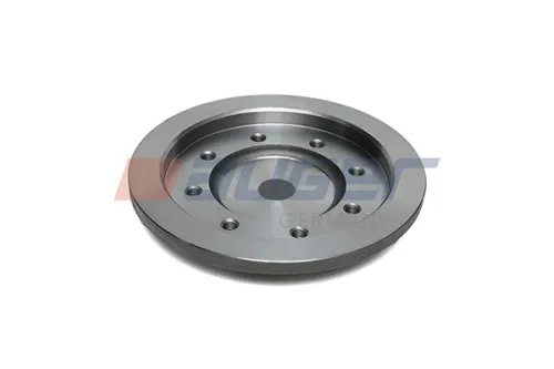 Backplate, fifth wheel kingpin