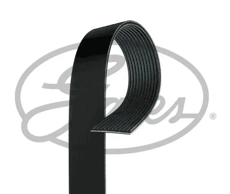 V-ribbed Belt