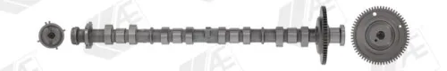 Camshaft