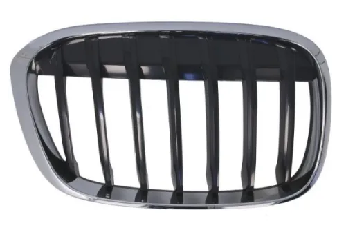 Radiator Grille