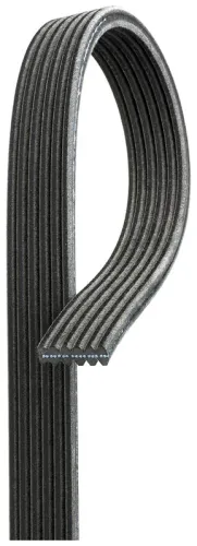 V-ribbed Belt
