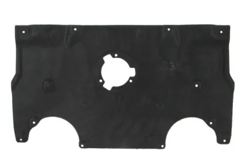 Engine Guard/Skid Plate