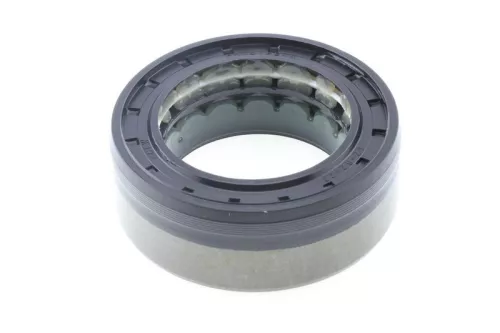 Shaft Seal, differential