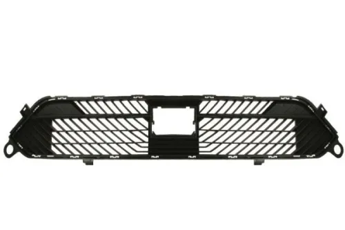 Radiator Grille