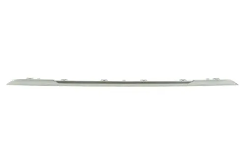 Trim/Protection Strip, bumper