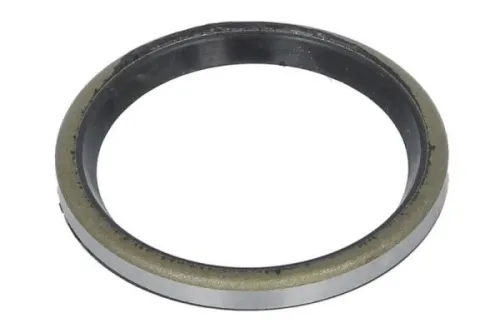 Seal Ring, steering knuckle