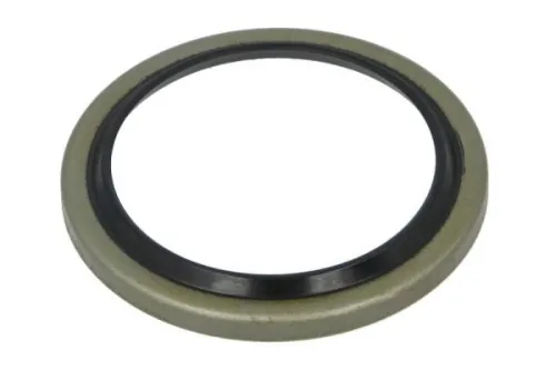 Seal Ring, steering knuckle