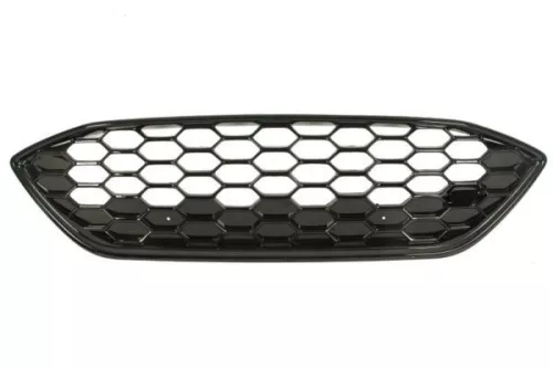 Radiator Grille