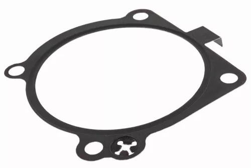 Gasket, throttle body