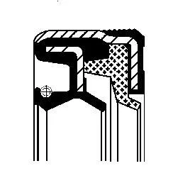 Shaft Seal, differential