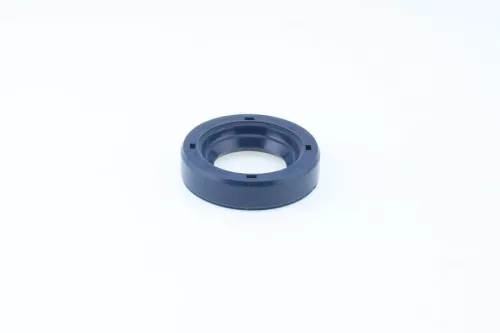 Seal Ring