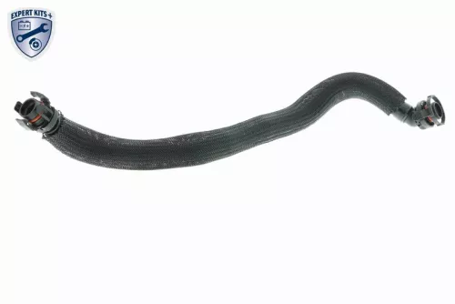 Hose, crankcase ventilation