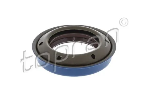 Shaft Seal, differential