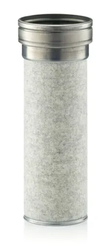 Secondary Air Filter