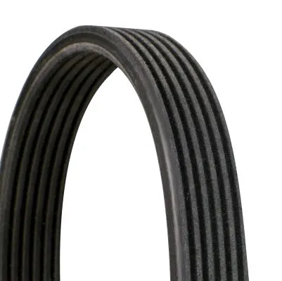 V-ribbed Belt