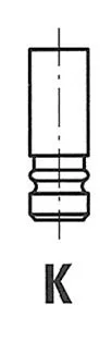 Intake Valve