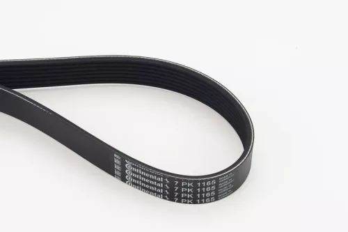 V-ribbed Belt