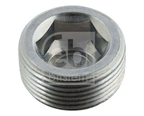 Screw Plug, axle drive